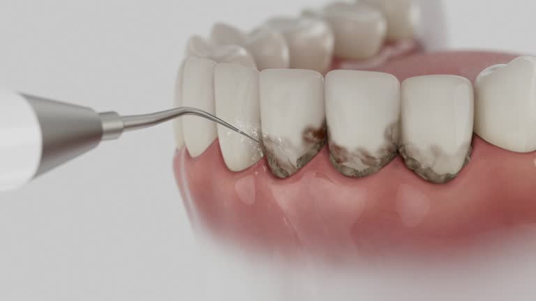 Reliable Dental contractor in Sibley, LA by Dentist Open Now